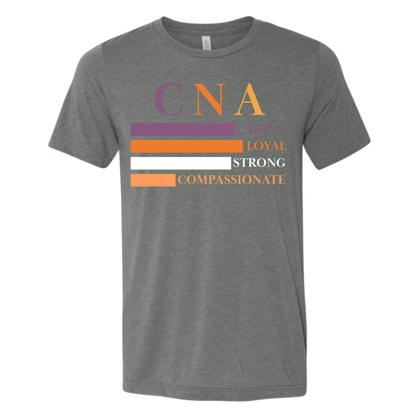 Aegis Nurse & CNA Shirt 2026
