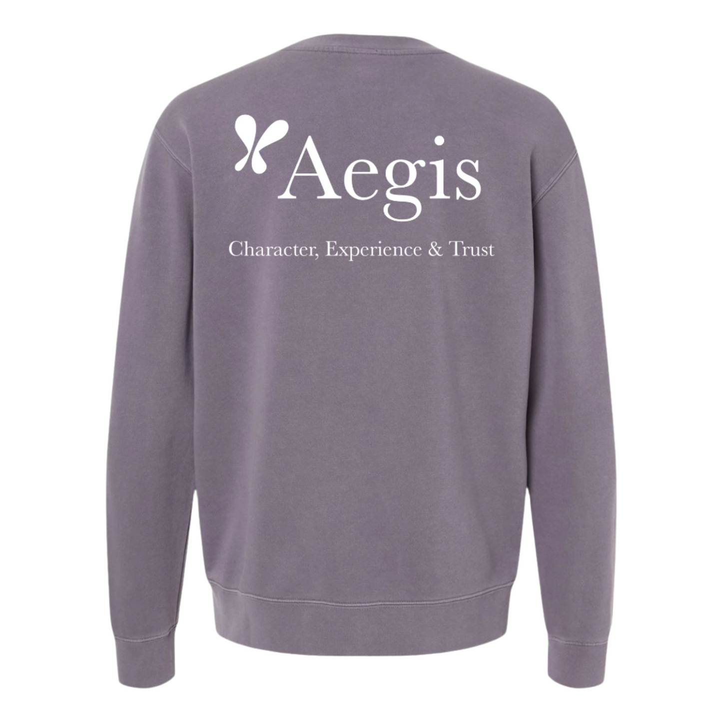 Aegis pigment dyed Crewneck Sweatshirt