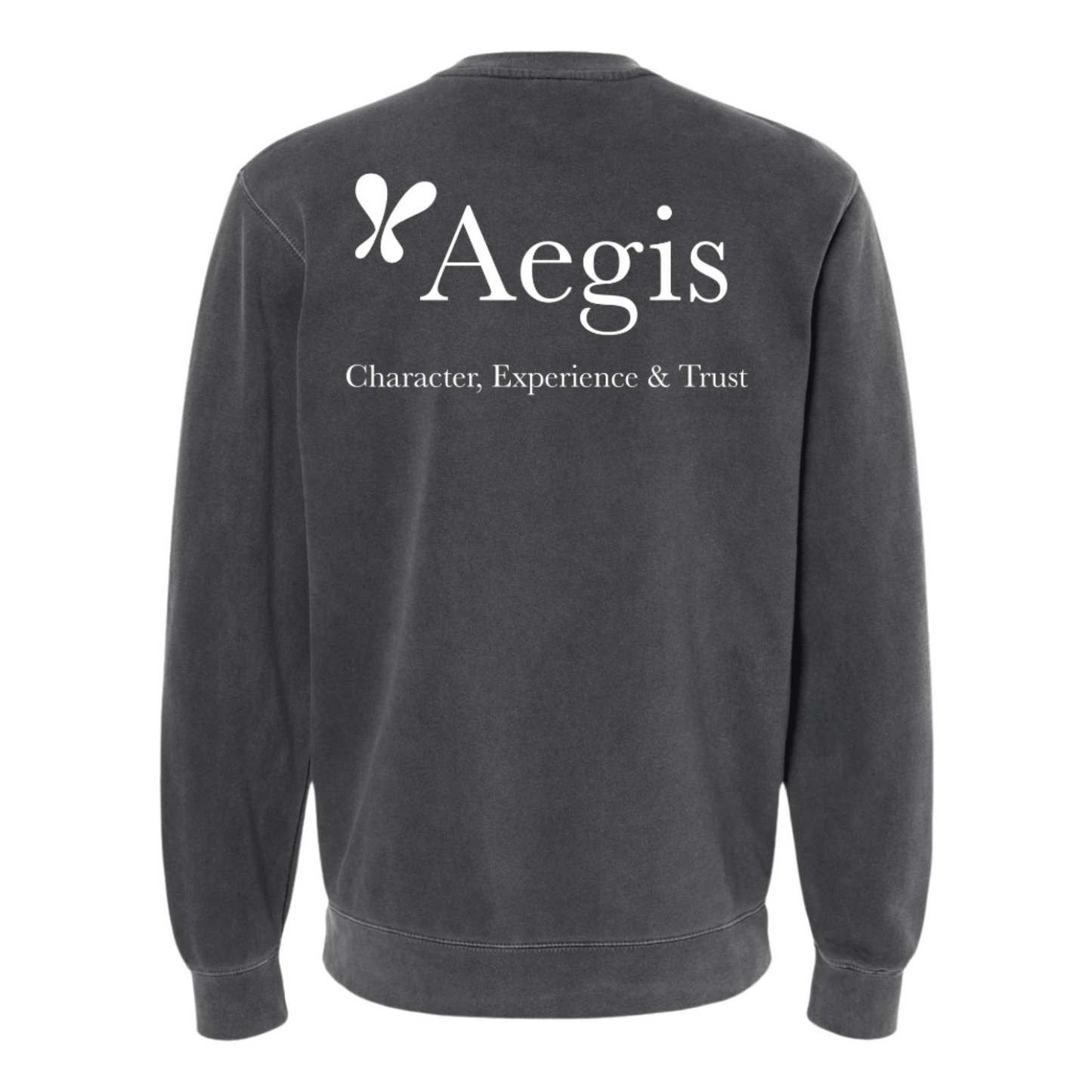 Aegis pigment dyed Crewneck Sweatshirt