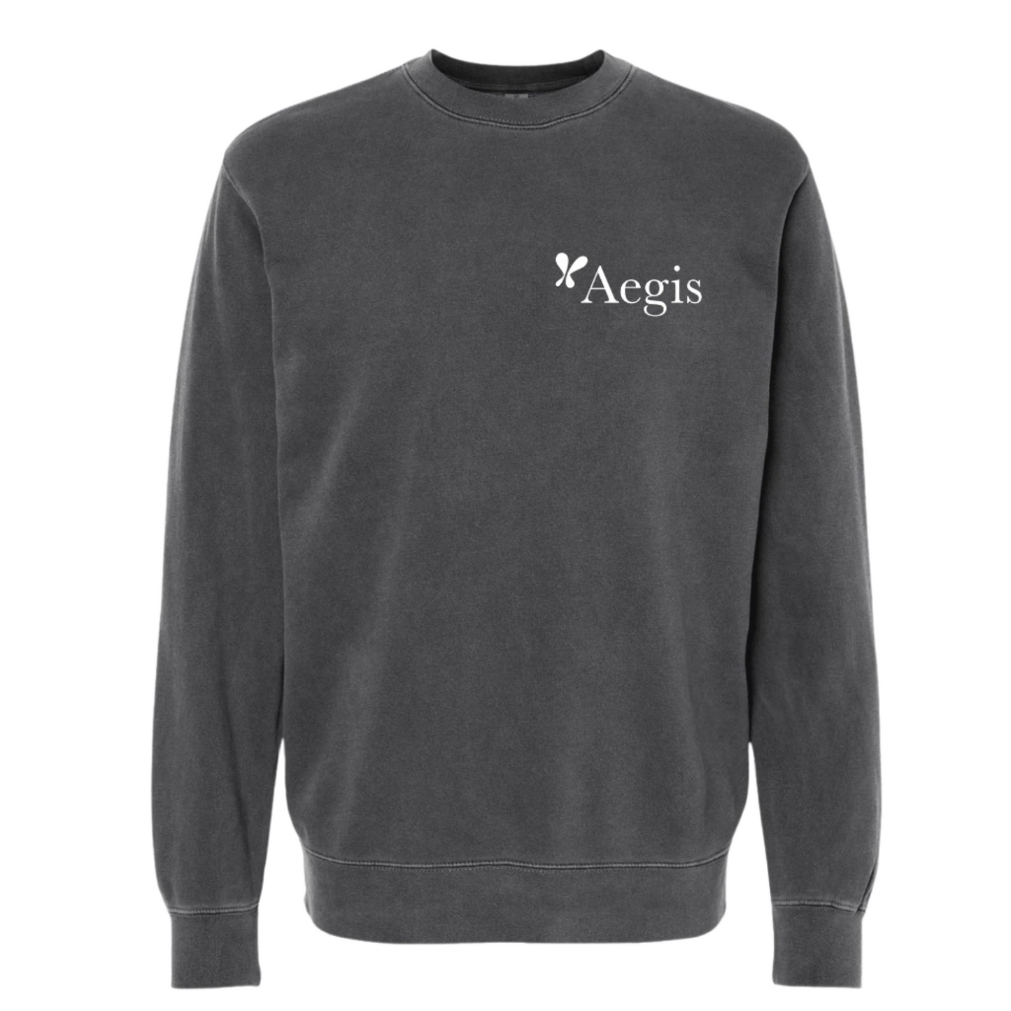 Aegis pigment dyed Crewneck Sweatshirt